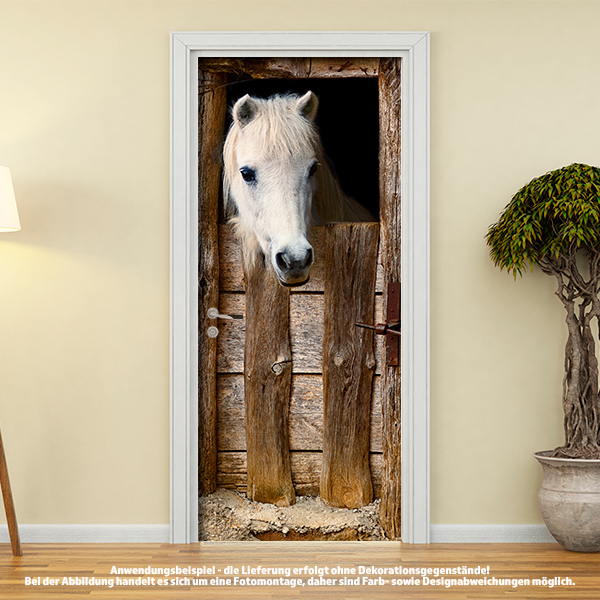 Türposter Türtapete selbstklebend Reiter auf weißem arabischen Pferd Tierporträt